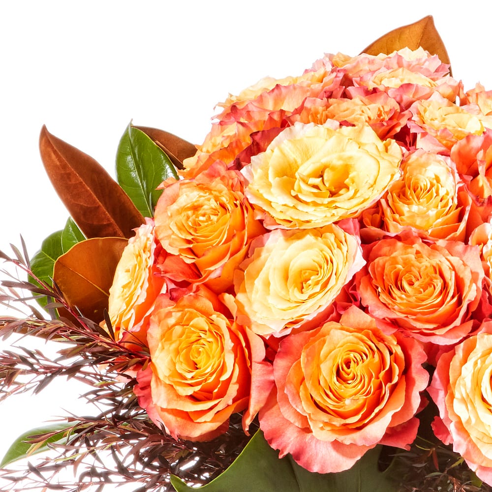 Free Spirit Rose Vase