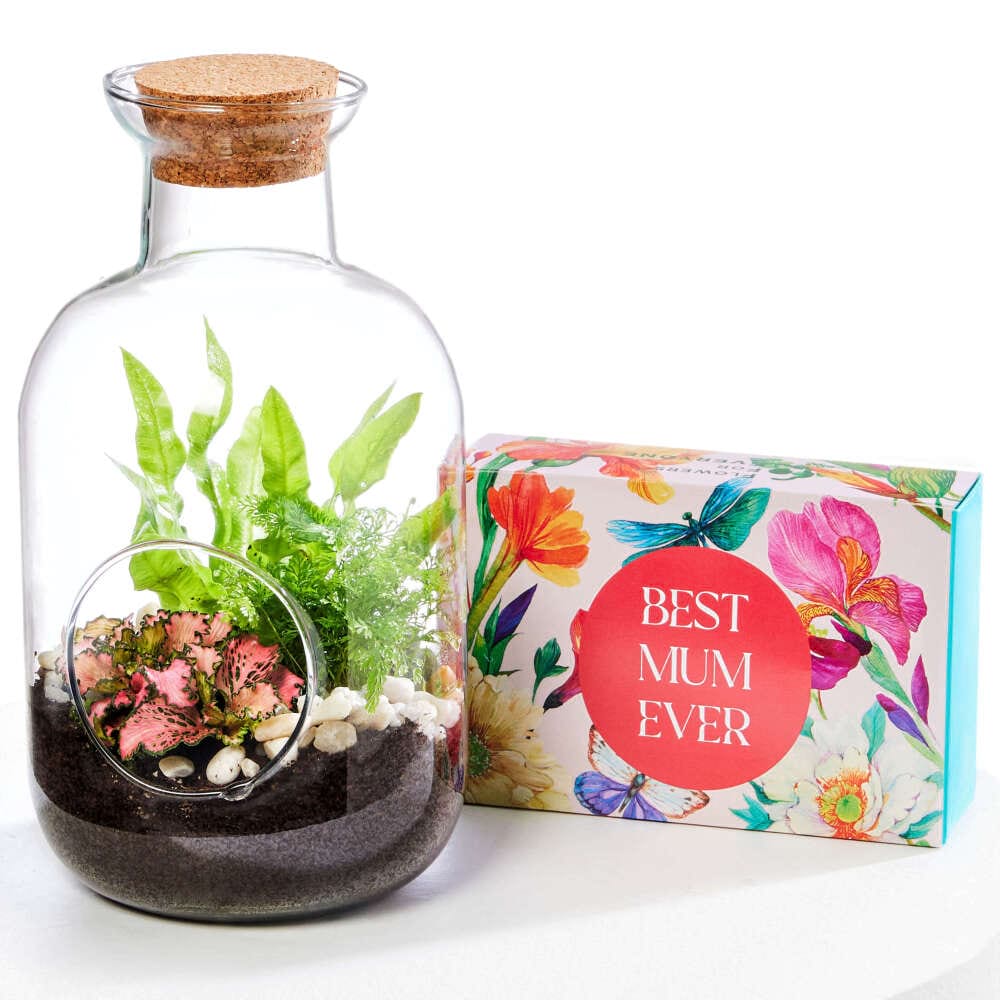 Unique and Sweet Set