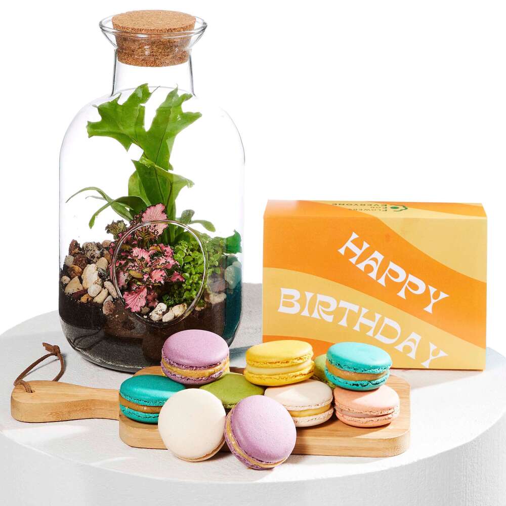 Terrarium Birthday Duo