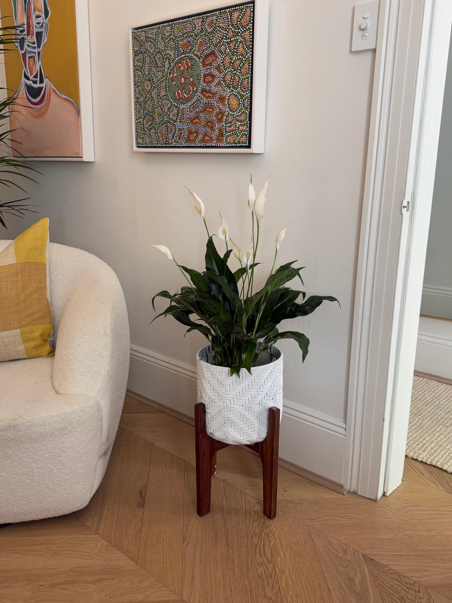 Peace Lily in Hessian Wrap