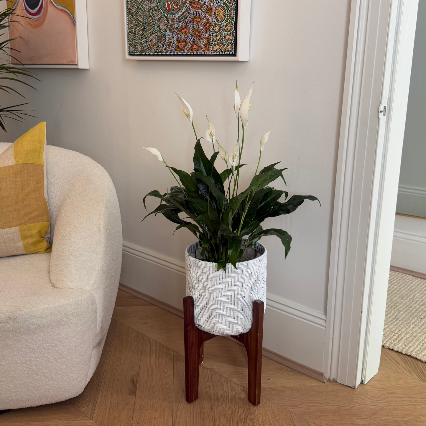 Peace Lily in Hessian Wrap