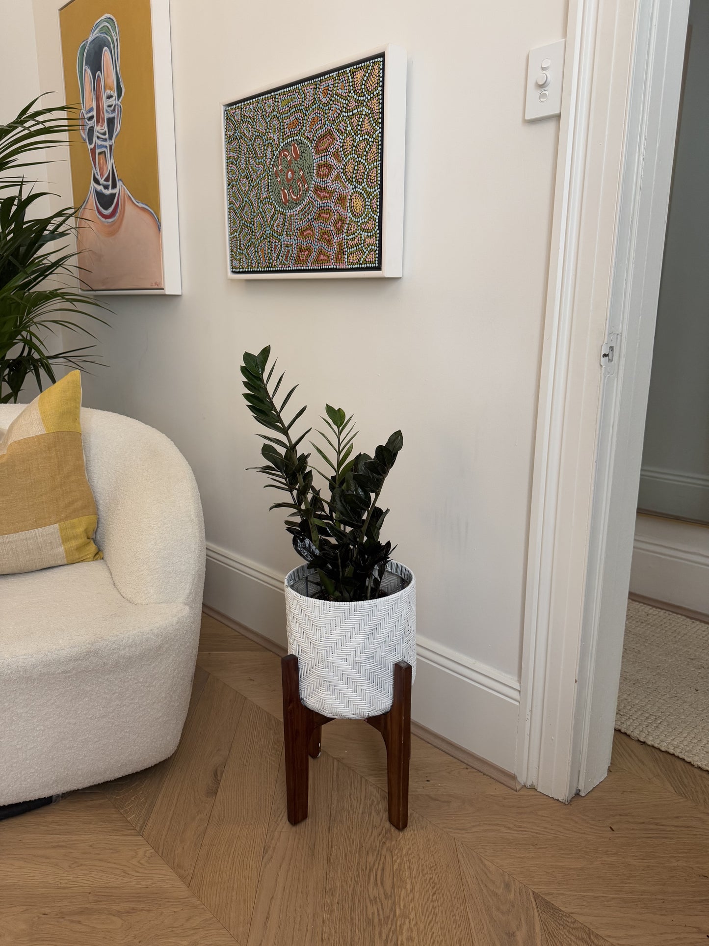 Potted Zanzibar