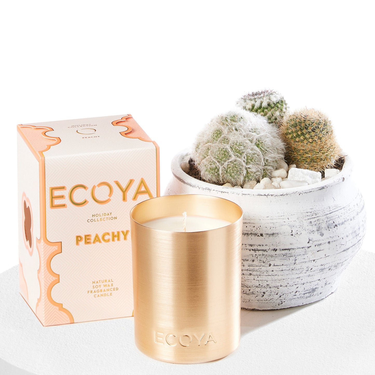 Mixed Cactus Pot with Goldie Candle