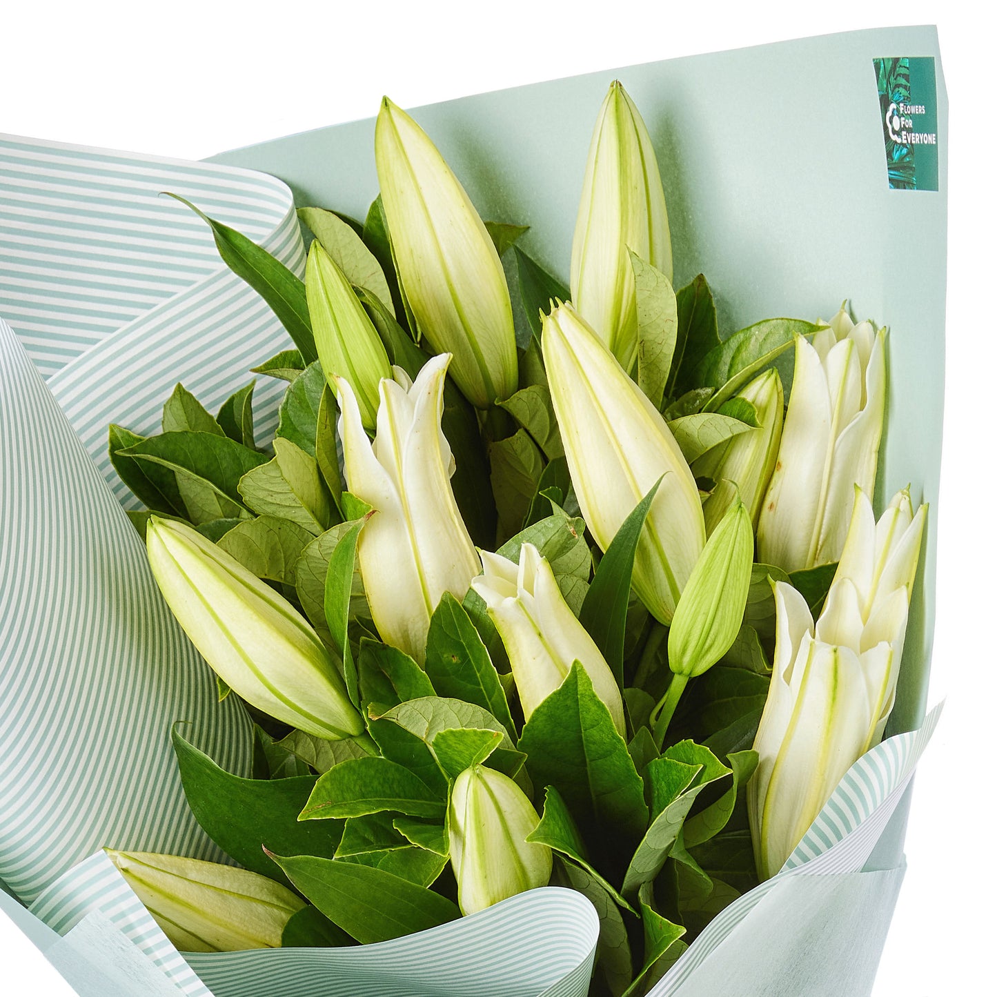 Perfumed White Oriental Lilies
