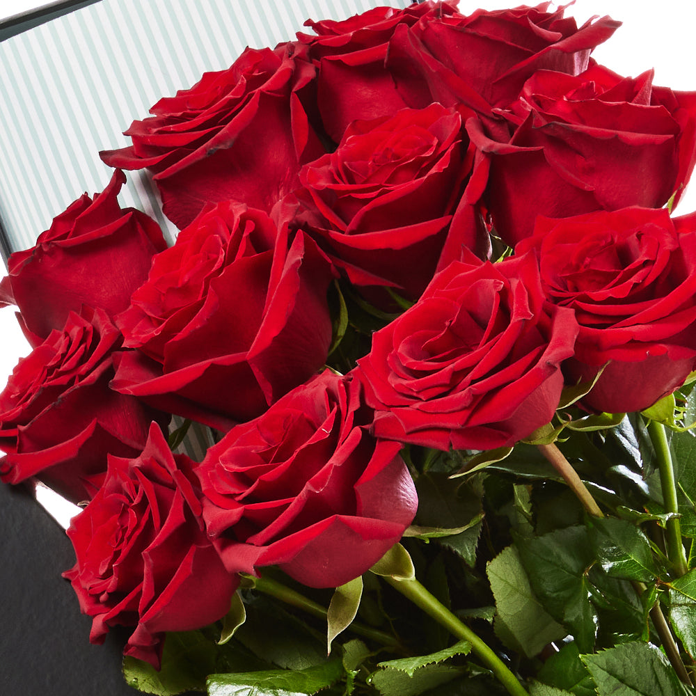 12 Red Roses with Brownie