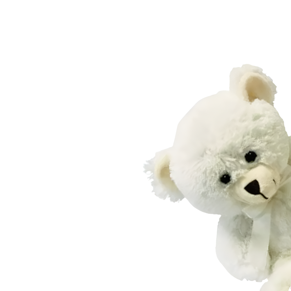 White Teddy 30cm
