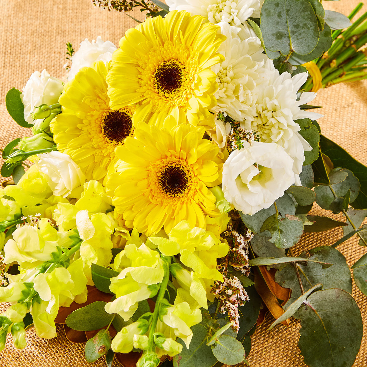 SWEET YELLOW POSY