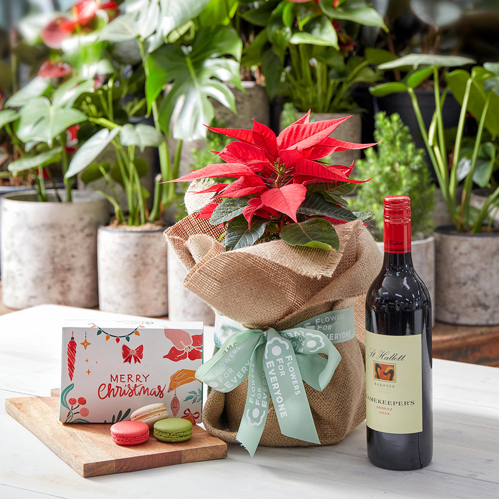 Holiday Poinsettia Treats Bundle
