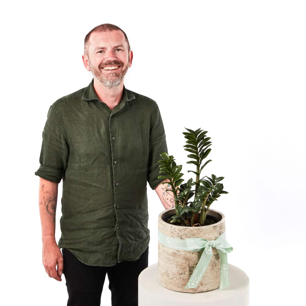 Zanzibar Plant