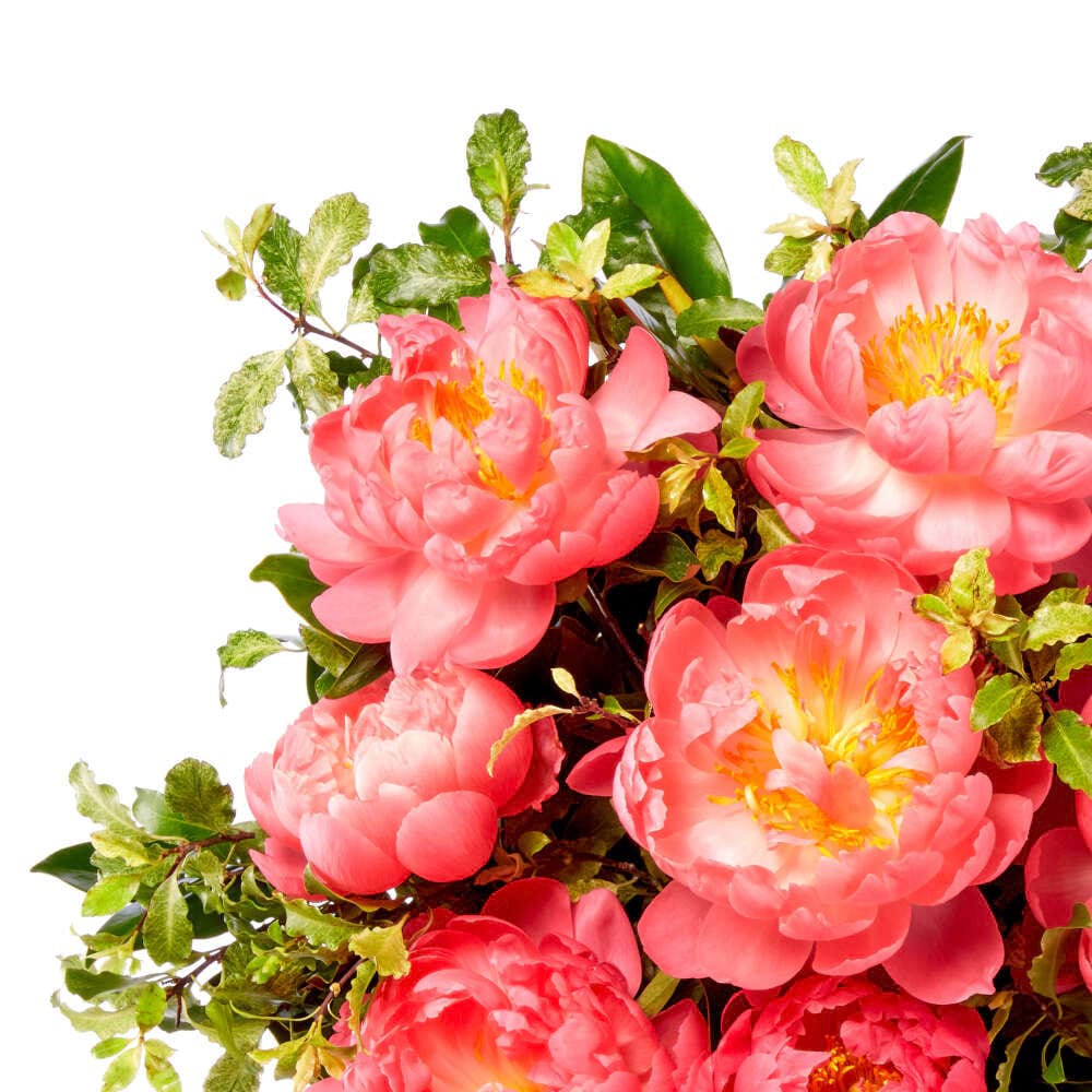 Pretty Peony Vase with vibrant pink peonies and fresh greenery for birthday flowers anniversary flowers and same day delivery flowers