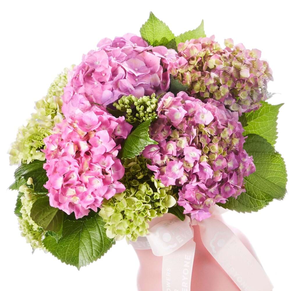 Pink in Paris Hydrangea Vase