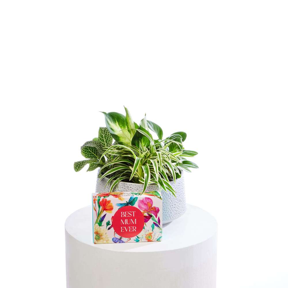 For Green Thumb Mums