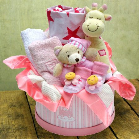 Gifts  Girl Babies on Baby Girl Hamper Medium Baby Gift   Flowers For Everyone