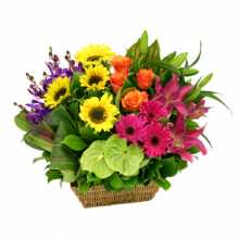 Flowers  Mothers  on Mothers Day Flowers   Australia Wide Delivery   Flowers For Everyone