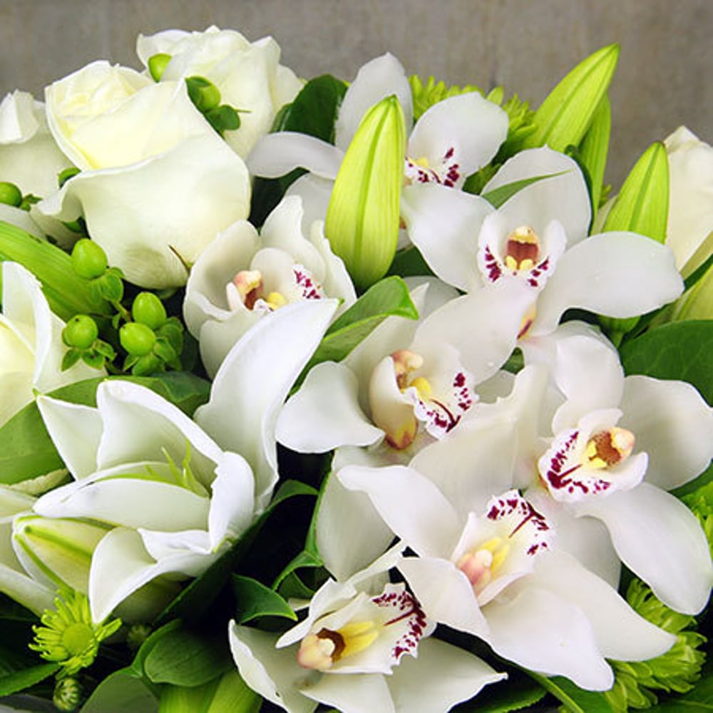 White Orchid Box