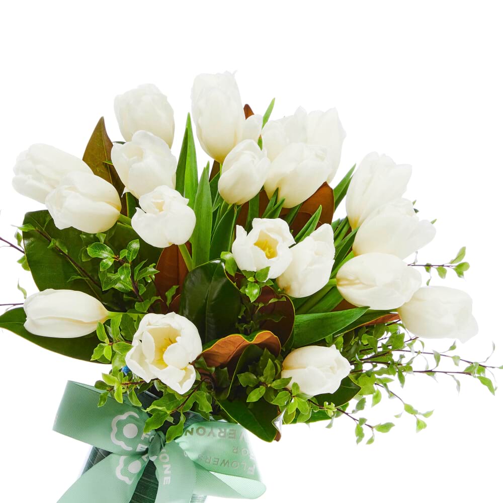 White Tulips in Vase
