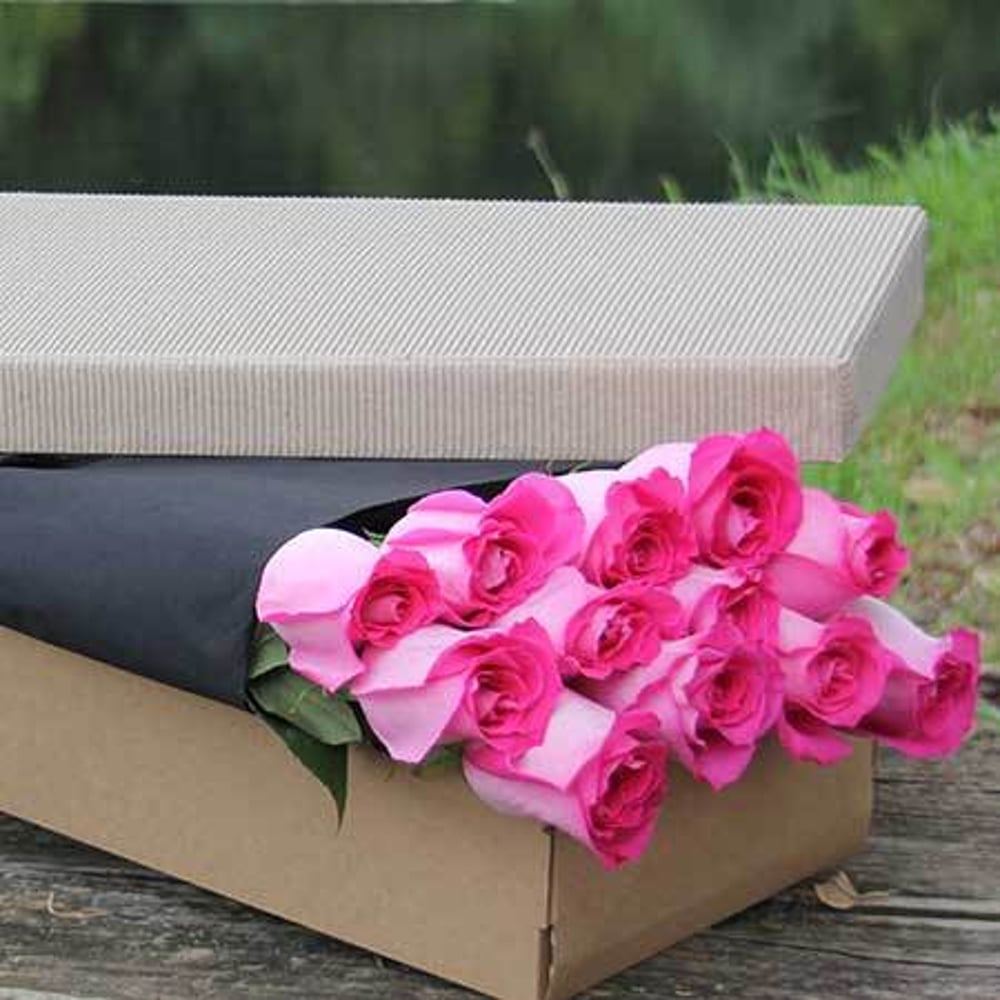 Pink Roses in a White Gift Box
