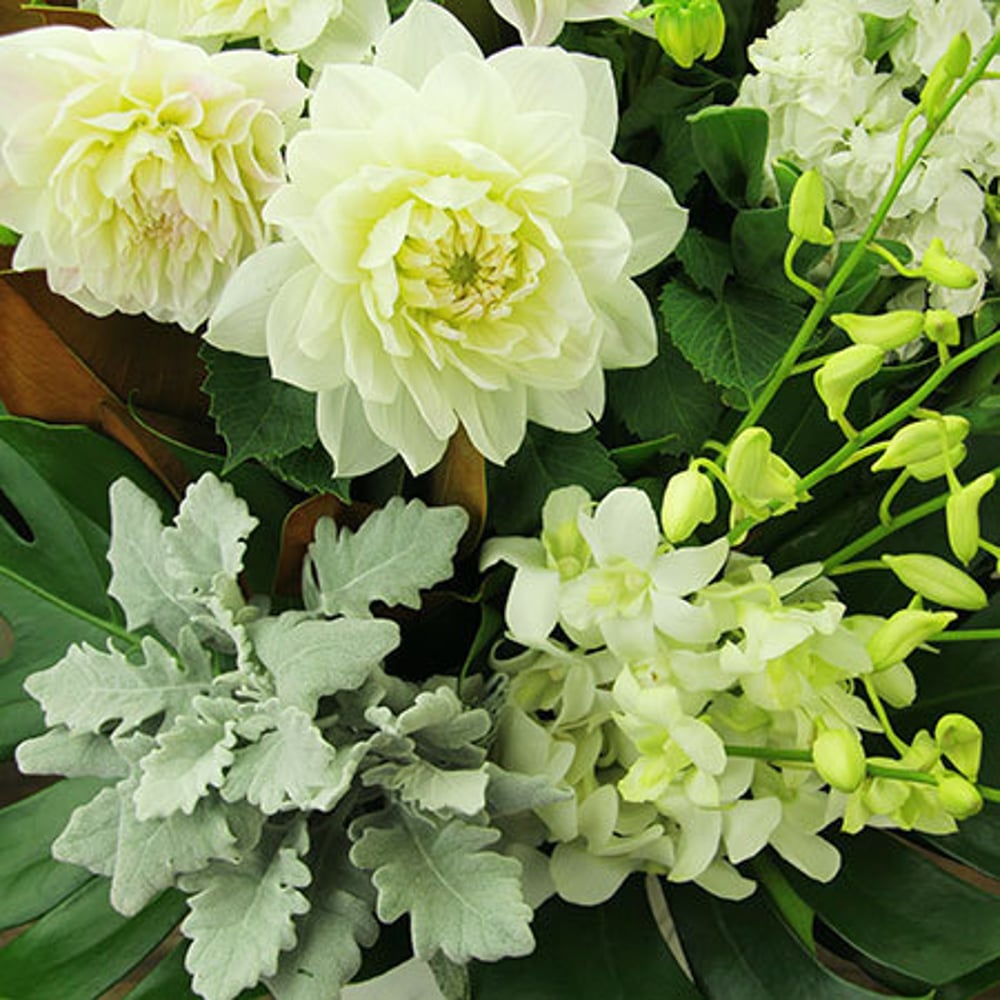 Creamy White Delight Flowers Delivered