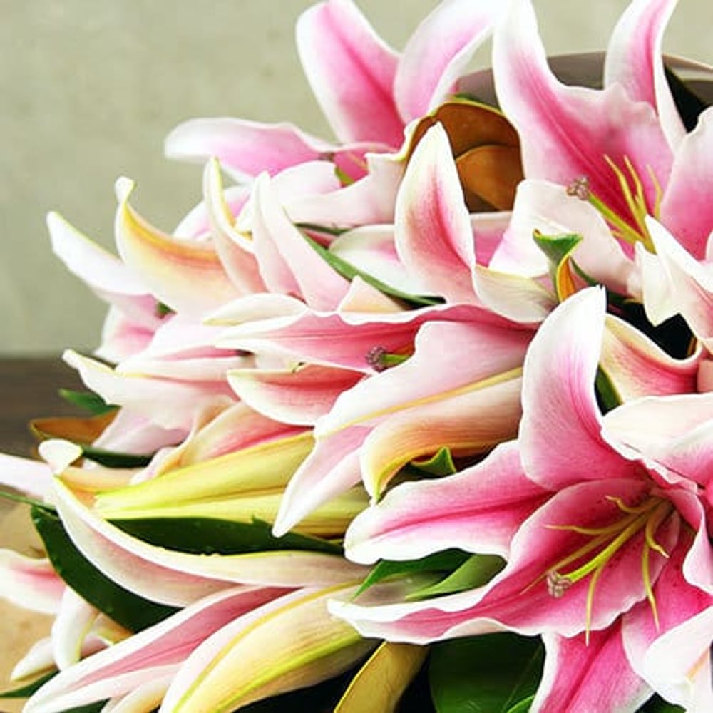 For Lily-Loving Mums