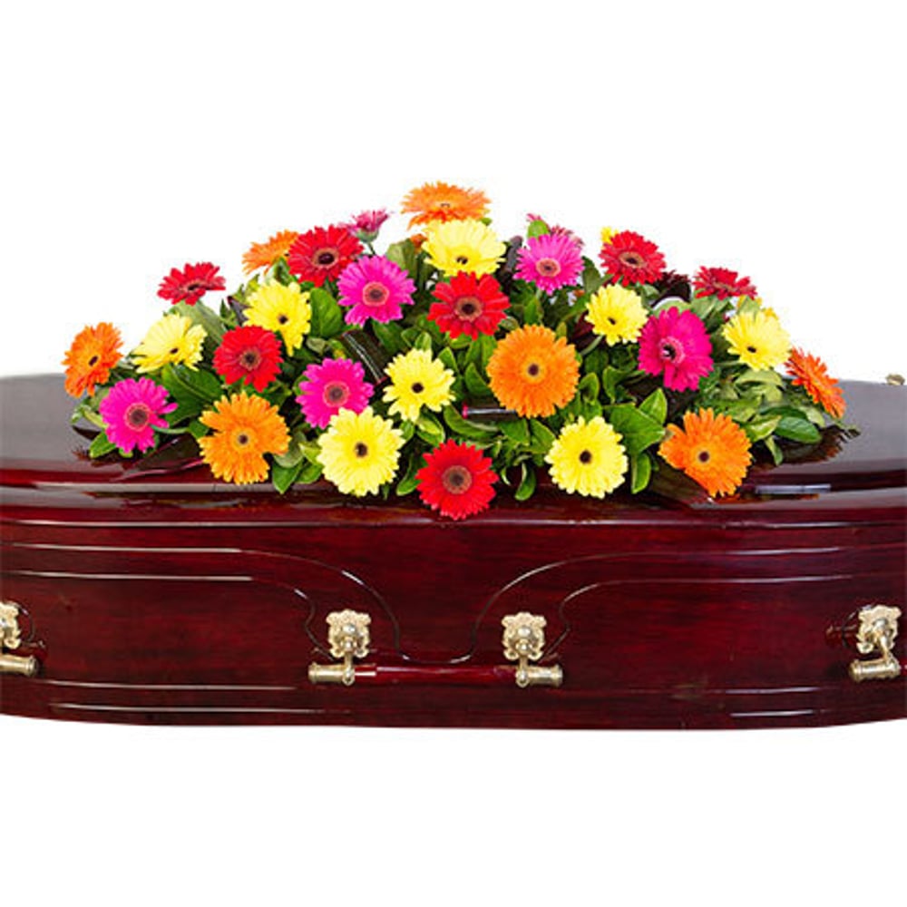 Funeral Casket Flowers - Colourful Gerberas