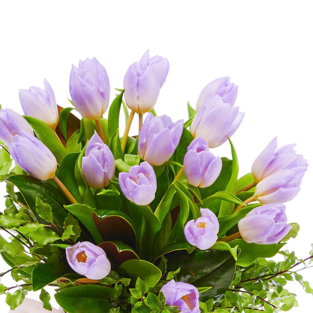 Perfectly Purple Tulip Vase