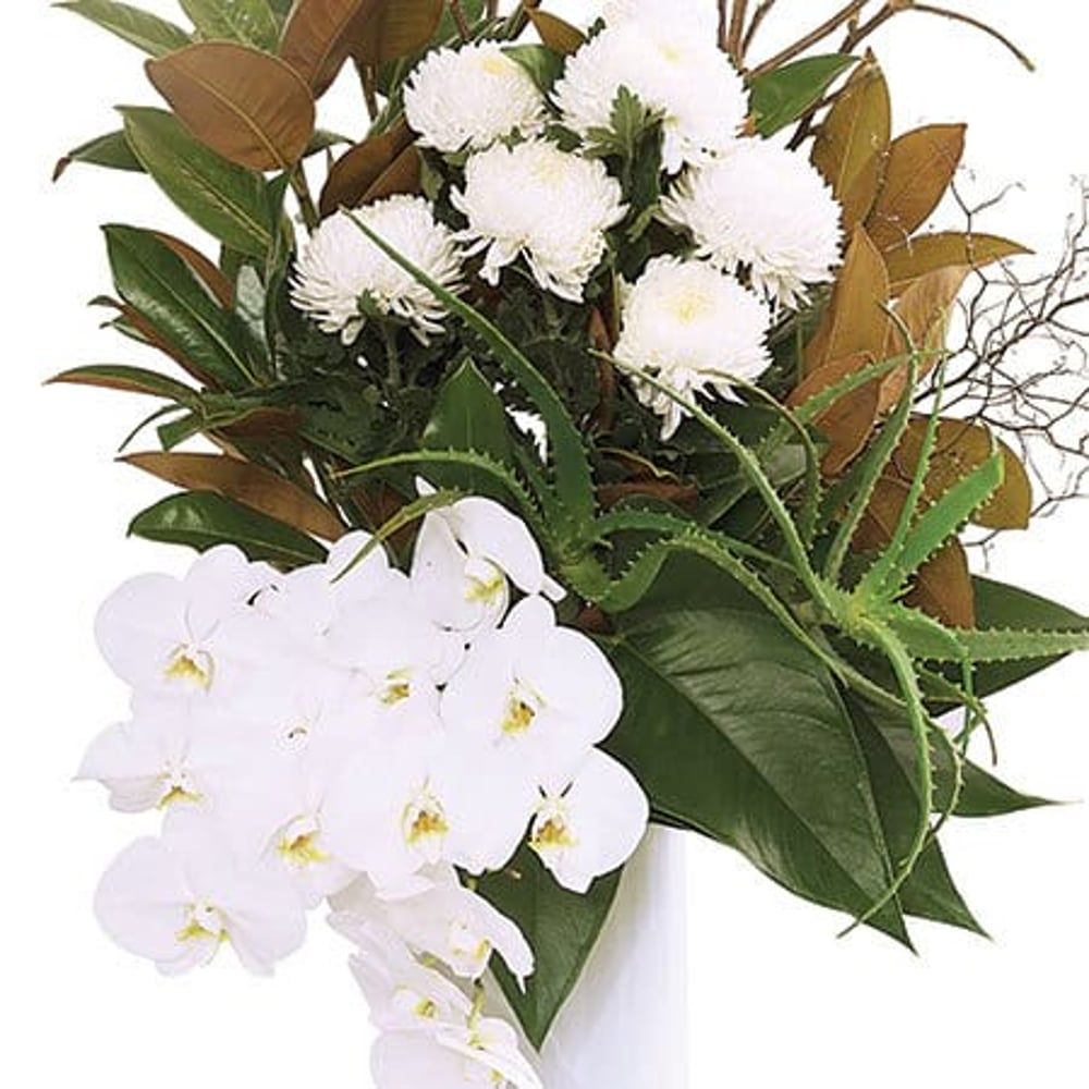 Premium White Orchid Vase