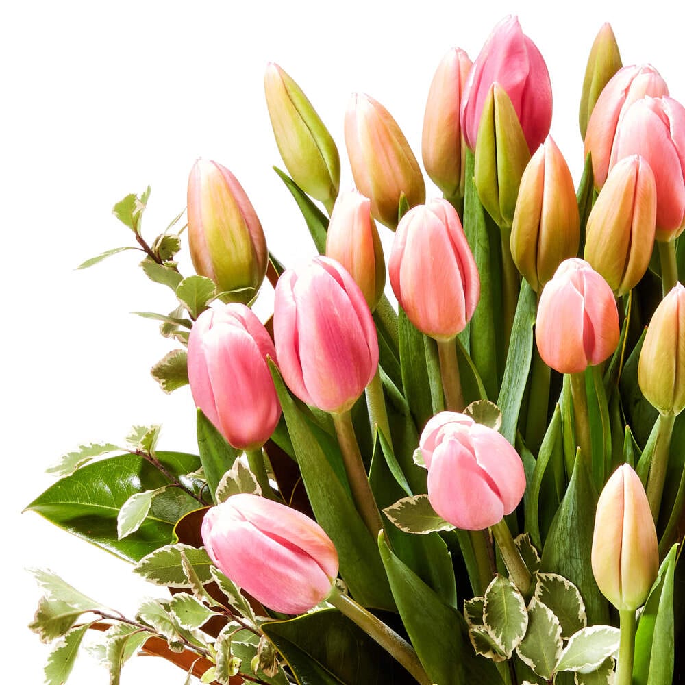 Pink Tulips in a Vase Delivered