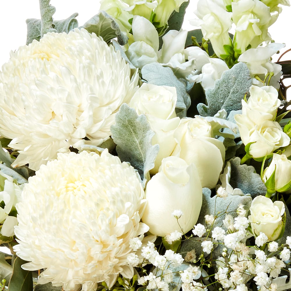 White Splendour Flower Pot