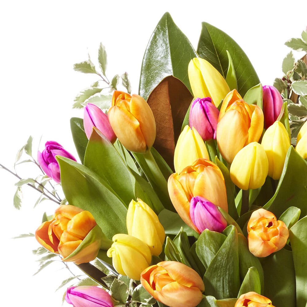 Bright Mixed Vase of Tulips Delivered