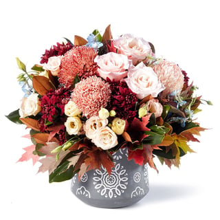 Casablanca Dreaming: Pot of Apricot Roses, Blue Delphinium & Antique Pink Chrysanthemums