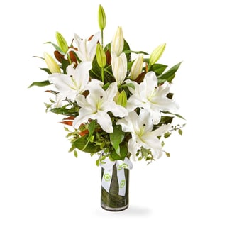 Peaceful White Lily Vase