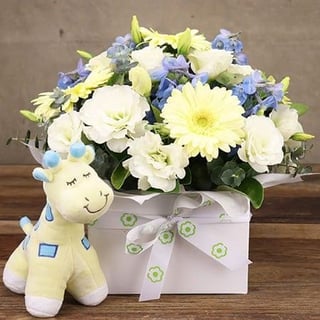 White and Blue Flowers for New Baby with Giraffe Toy