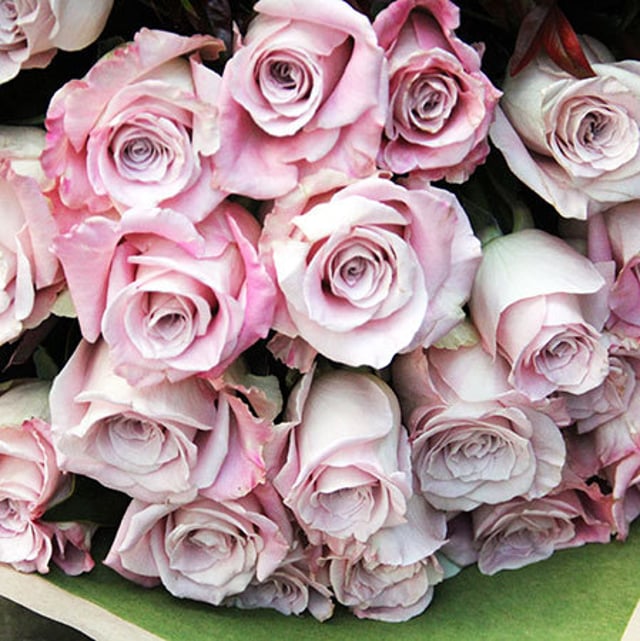 Pink Rose Bouquet Delivery - Sydney Only