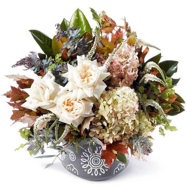 Desert Beauty: Pot of Premium White Roses & Hydrangea