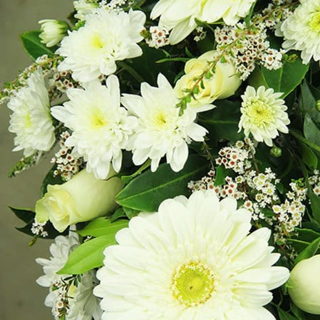 White Gerbera and Rose Wreath Funeral Flower Delivery