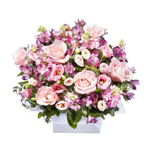 Lilac Pink Bloom Box | Sydney Florist | Flowers for Everyone