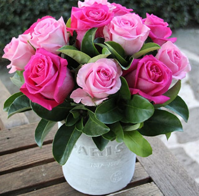 Paris Pink Roses in a White Pot