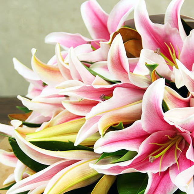 Perfumed Pink Oriental Lilies Delivered