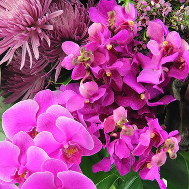 Theatrical Pink Flower Vase Flower Delivery Sydney