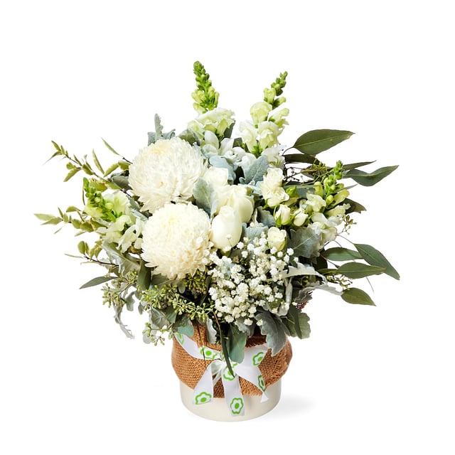 White Splendour Flower Pot