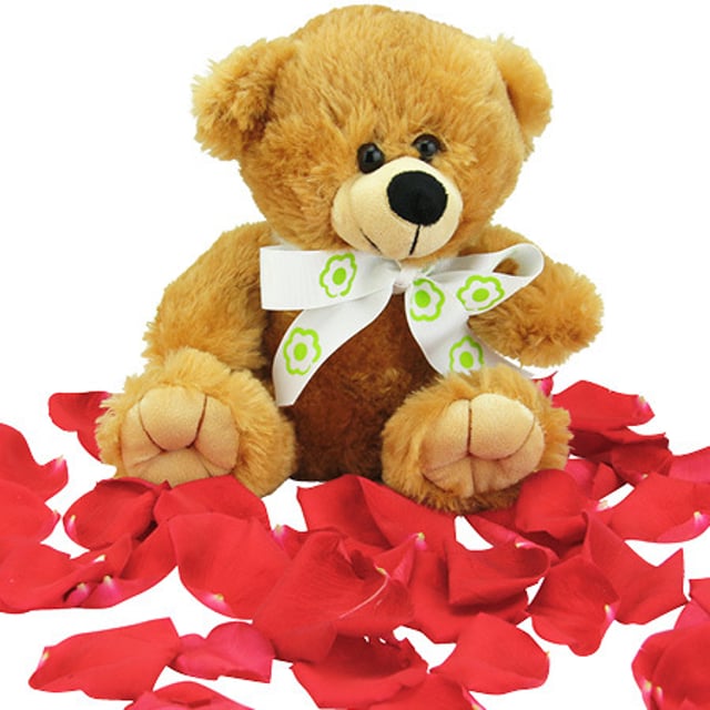 6 Long Stem Red Roses with Love Bear 