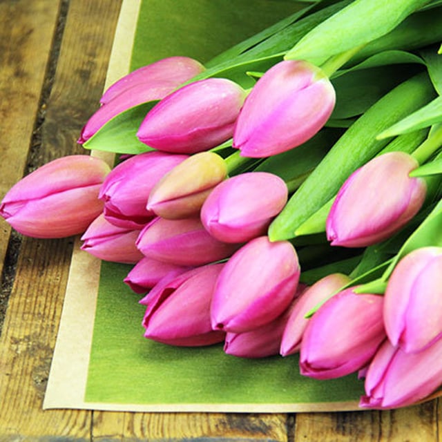 I Heart Tulips (Bright)