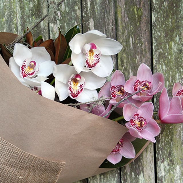 Orchids & Tuscan Chocolate