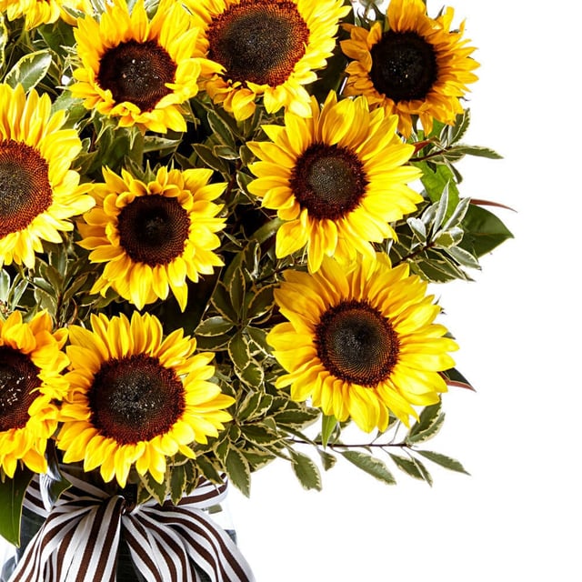 Classic Sunflower Vase