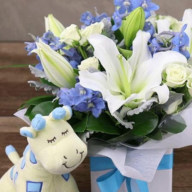 Dreamy Blue Baby Gift