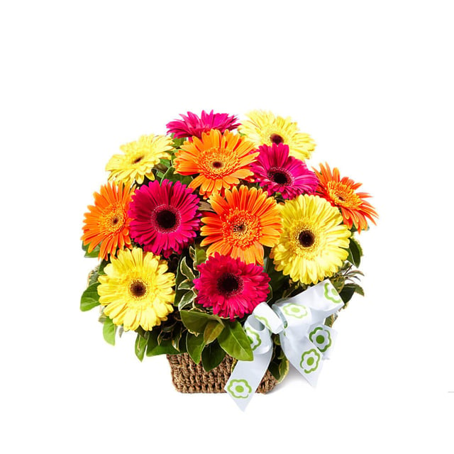 Fresh Gerbera Basket of Flowers Delivered