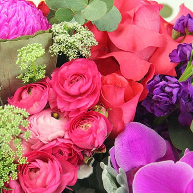 Floral Fashionista Premium Flowers Delivered Sydney