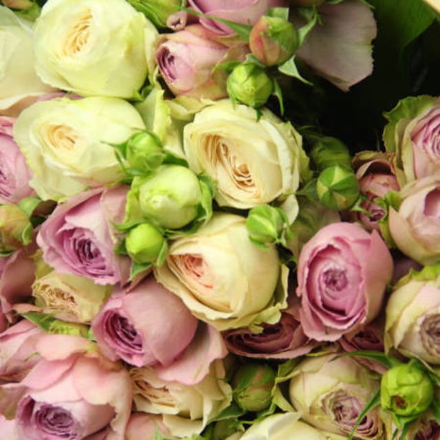 Pastel Rose Bouquet
