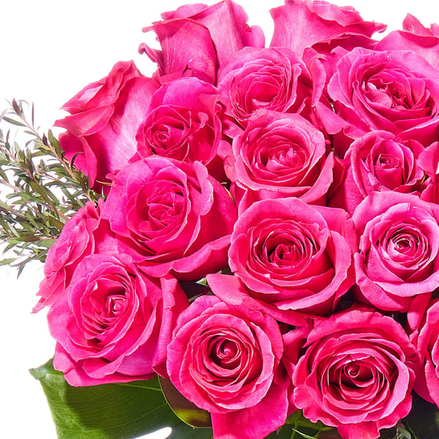 Hot Pink Rose Vase