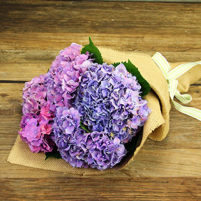Hydrangea Posy with Free Candle (Syd and Melb Only)
